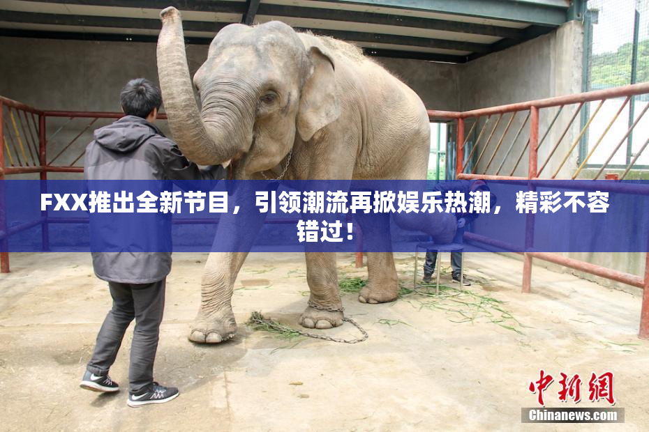 FXX推出全新节目，引领潮流再掀娱乐热潮，精彩不容错过！
