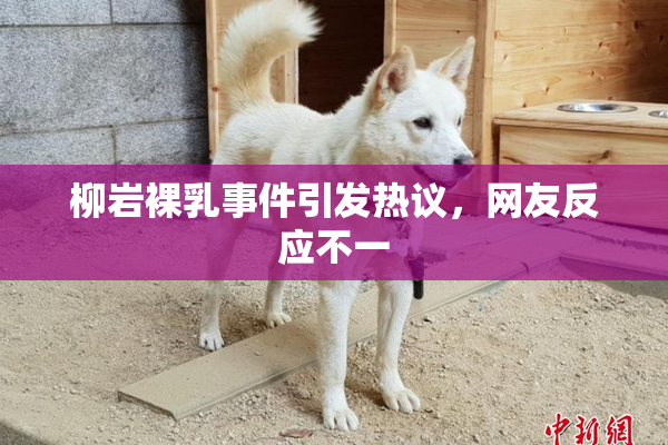 柳岩裸乳事件引发热议，网友反应不一