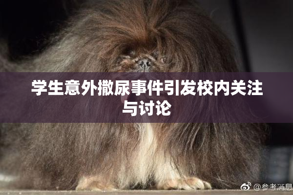 学生意外撒尿事件引发校内关注与讨论