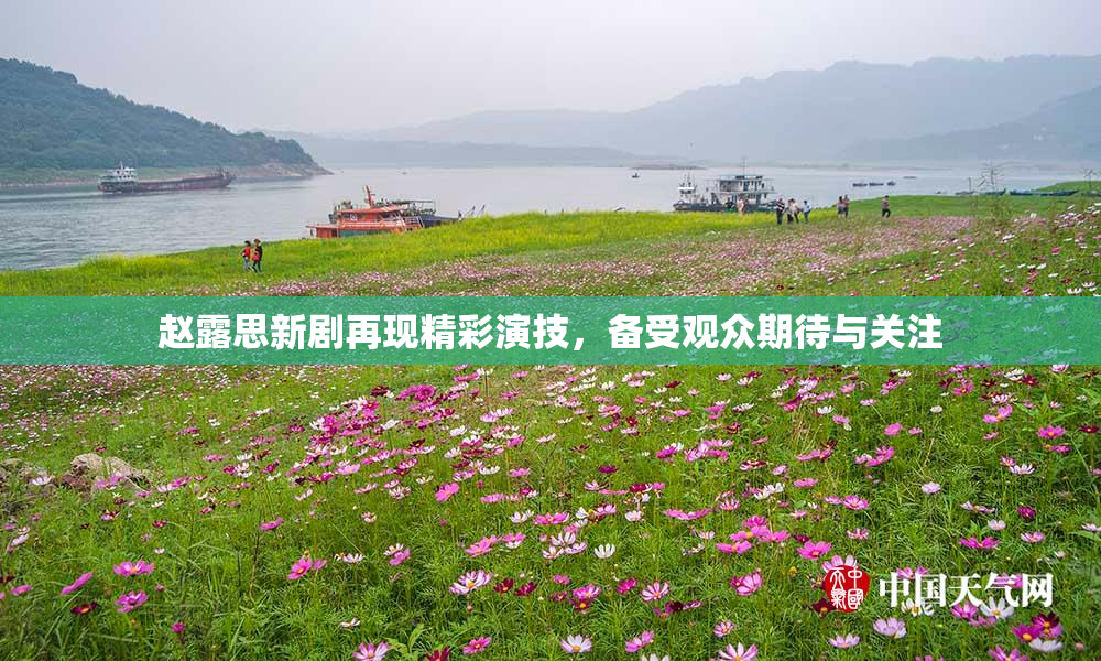 赵露思新剧再现精彩演技，备受观众期待与关注