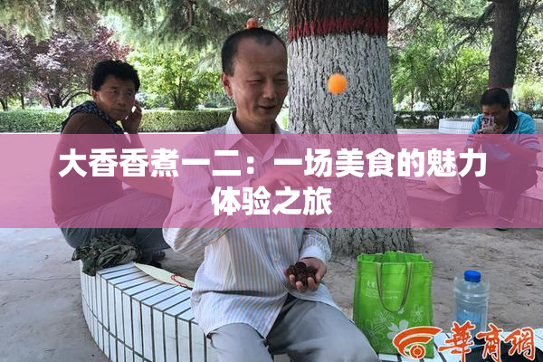 大香香煮一二：一场美食的魅力体验之旅