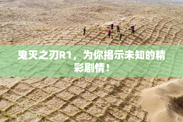鬼灭之刃R1，为你揭示未知的精彩剧情！