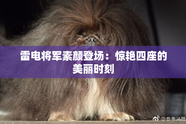 雷电将军素颜登场：惊艳四座的美丽时刻
