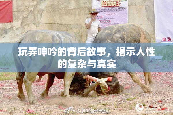 玩弄呻吟的背后故事，揭示人性的复杂与真实