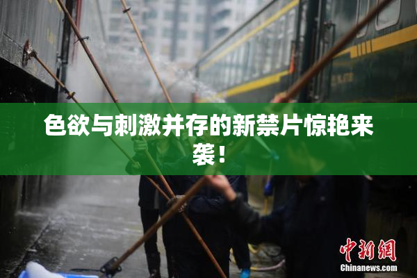 色欲与刺激并存的新禁片惊艳来袭！