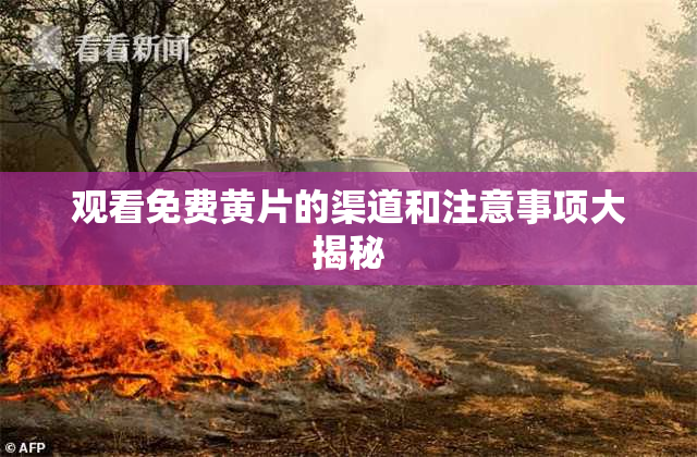 观看免费黄片的渠道和注意事项大揭秘