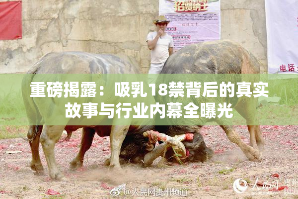 重磅揭露：吸乳18禁背后的真实故事与行业内幕全曝光