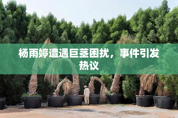 杨雨婷遭遇巨茎困扰，事件引发热议