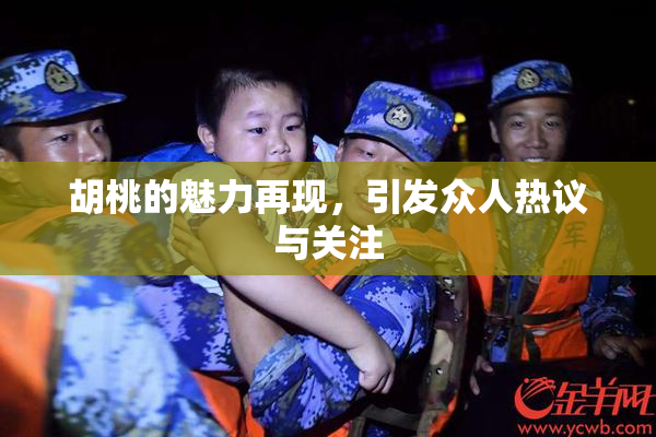 胡桃的魅力再现，引发众人热议与关注