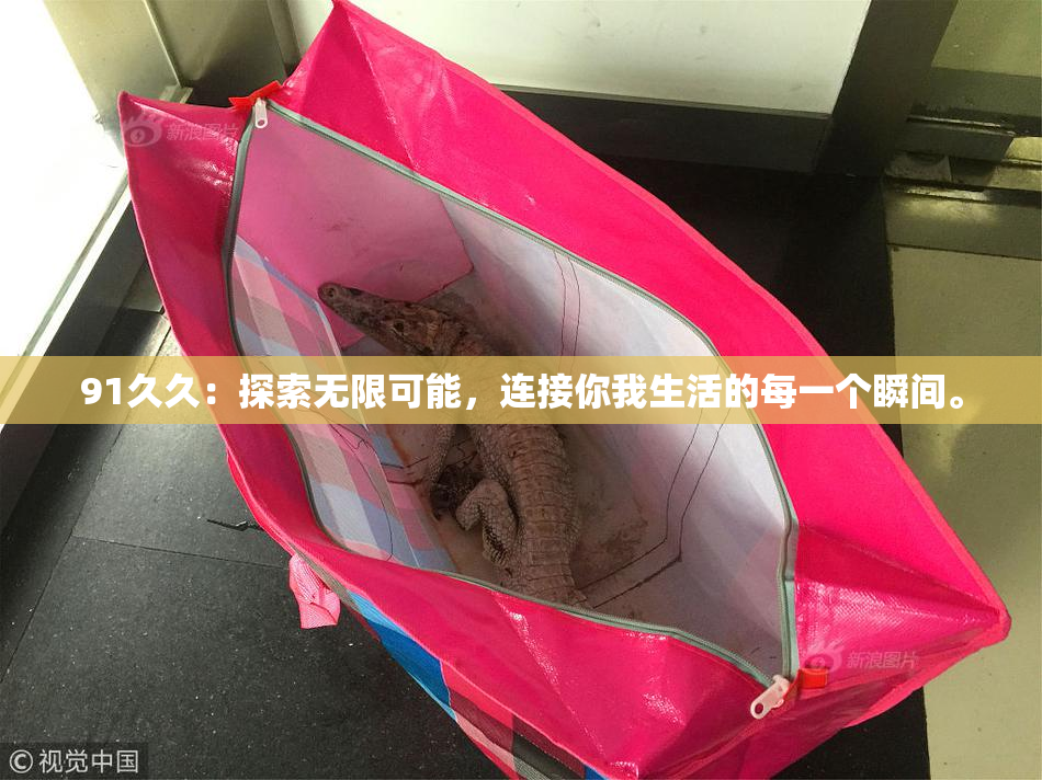 91久久：探索无限可能，连接你我生活的每一个瞬间。