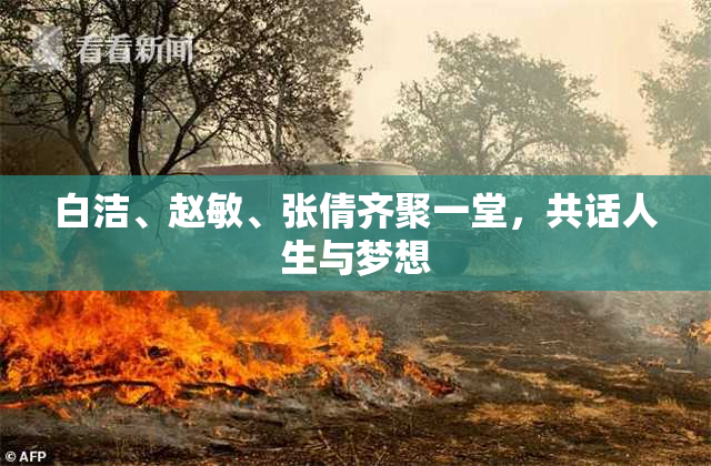 白洁、赵敏、张倩齐聚一堂，共话人生与梦想