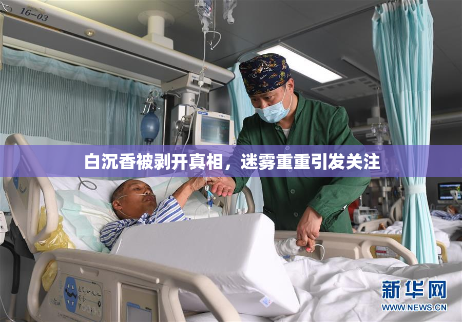白沉香被剥开真相，迷雾重重引发关注