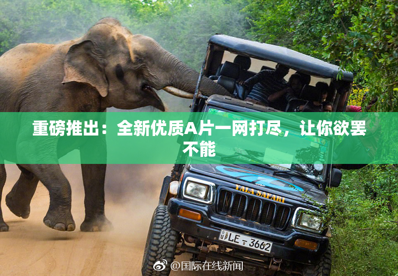 重磅推出：全新优质A片一网打尽，让你欲罢不能