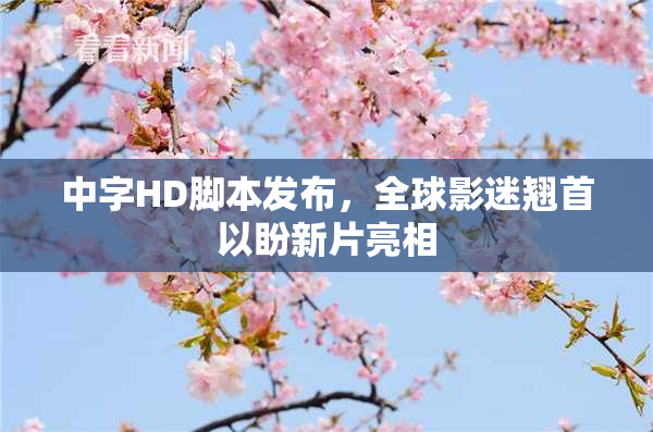 中字HD脚本发布，全球影迷翘首以盼新片亮相