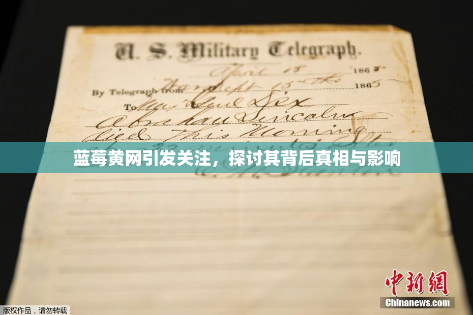 蓝莓黄网引发关注，探讨其背后真相与影响