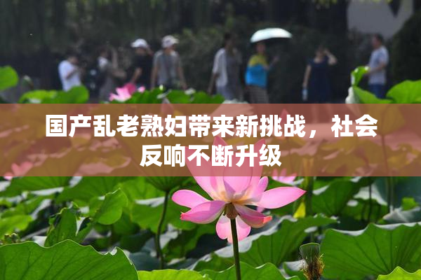 国产乱老熟妇带来新挑战，社会反响不断升级