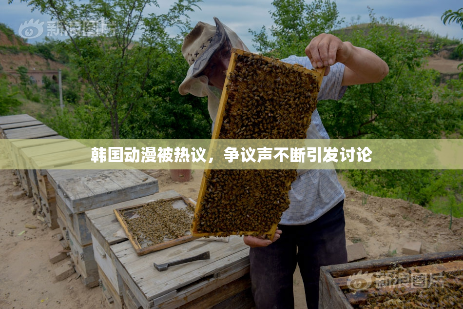 韩国动漫被热议，争议声不断引发讨论