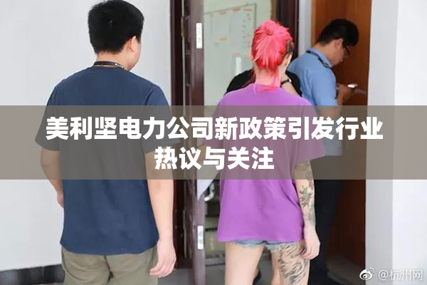 美利坚电力公司新政策引发行业热议与关注