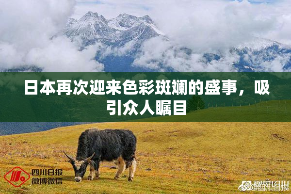 日本再次迎来色彩斑斓的盛事，吸引众人瞩目