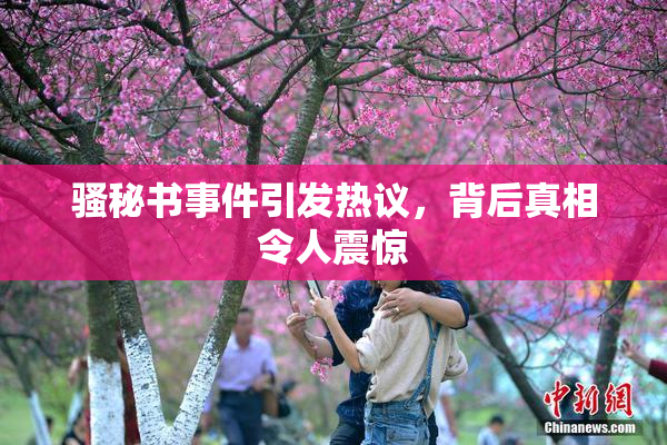 骚秘书事件引发热议，背后真相令人震惊