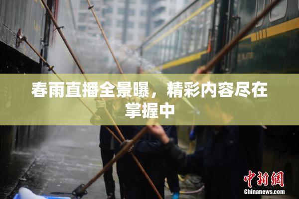 春雨直播全景曝，精彩内容尽在掌握中