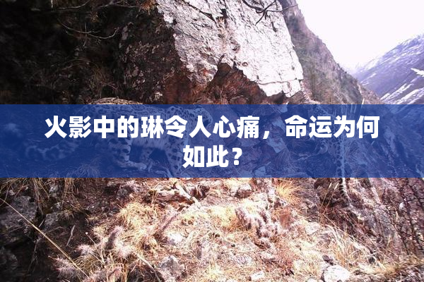 火影中的琳令人心痛，命运为何如此？
