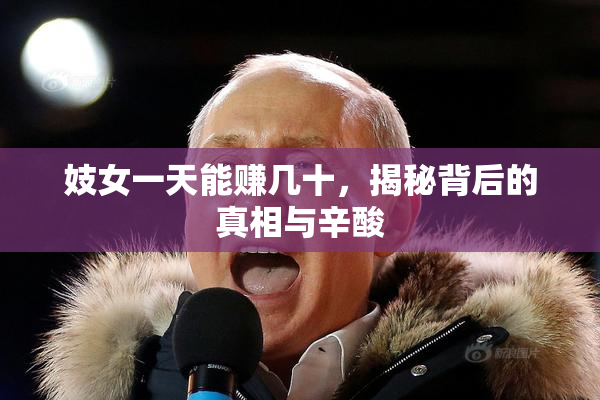 妓女一天能赚几十，揭秘背后的真相与辛酸