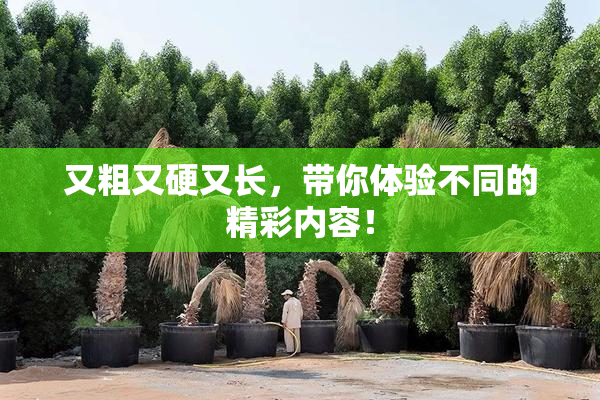 又粗又硬又长，带你体验不同的精彩内容！