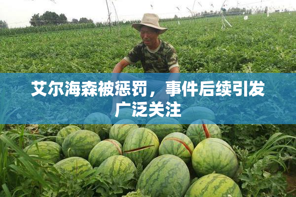 艾尔海森被惩罚，事件后续引发广泛关注