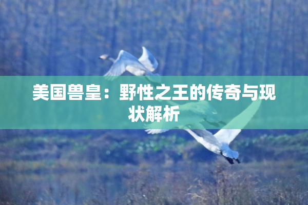 美国兽皇：野性之王的传奇与现状解析