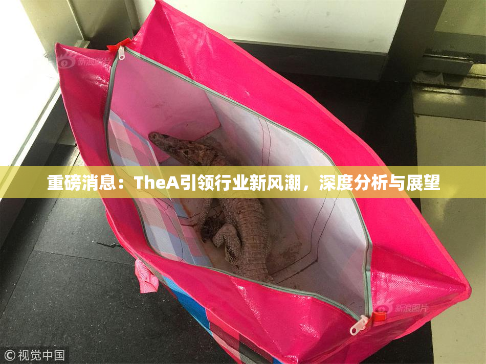 重磅消息：TheA引领行业新风潮，深度分析与展望