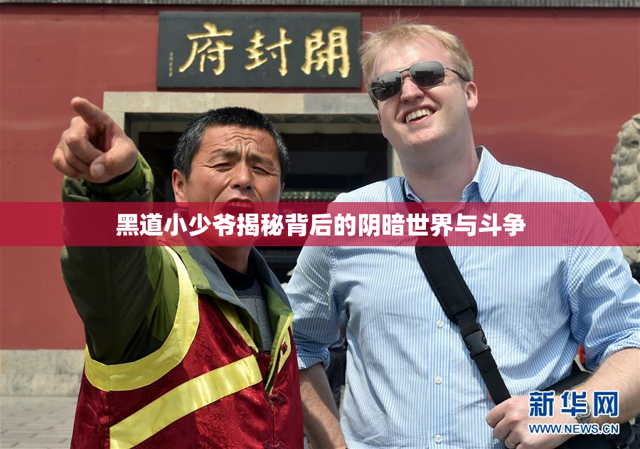 黑道小少爷揭秘背后的阴暗世界与斗争