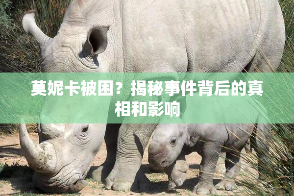 莫妮卡被困？揭秘事件背后的真相和影响
