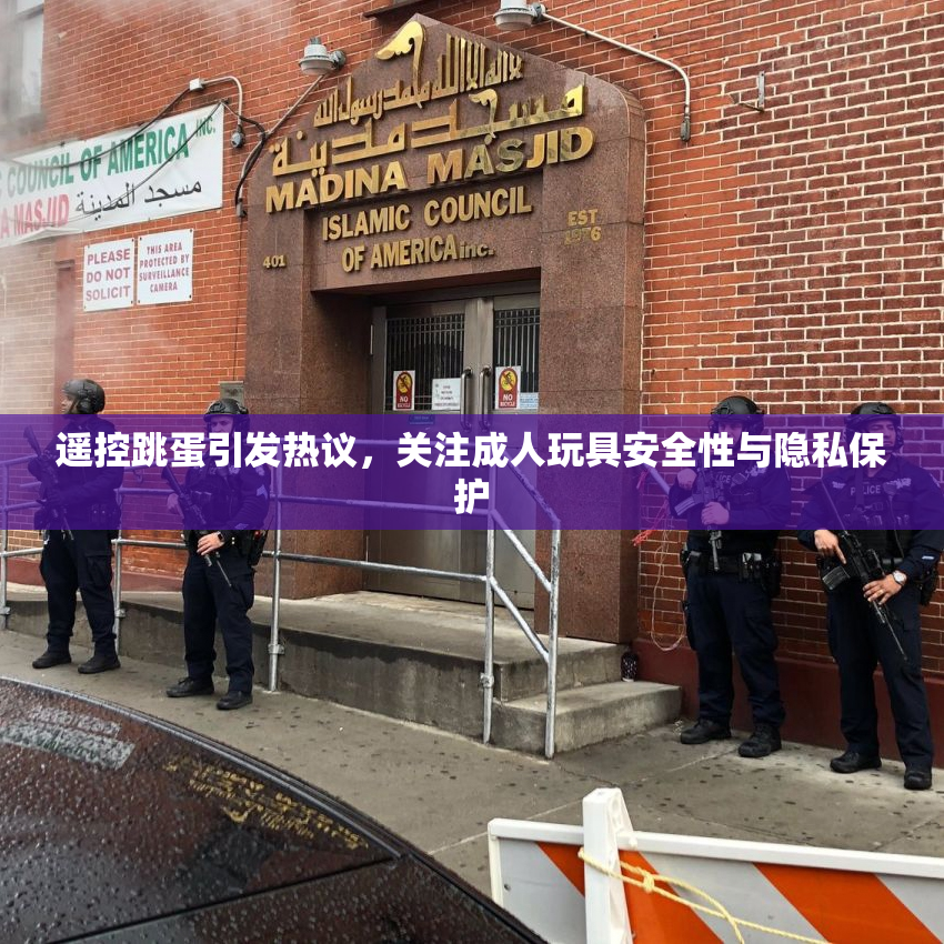 遥控跳蛋引发热议，关注成人玩具安全性与隐私保护