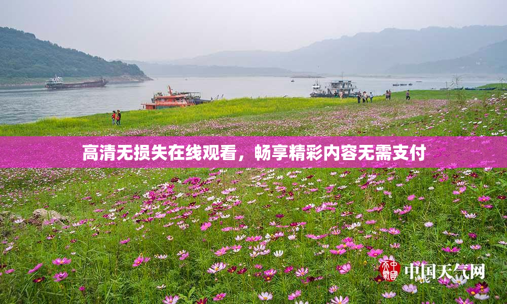 高清无损失在线观看，畅享精彩内容无需支付
