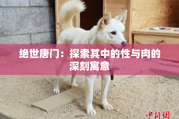 绝世唐门：探索其中的性与肉的深刻寓意