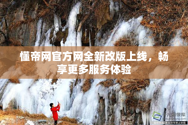 懂帝网官方网全新改版上线，畅享更多服务体验