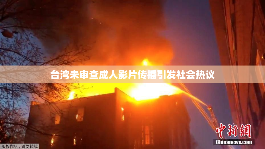 台湾未审查成人影片传播引发社会热议