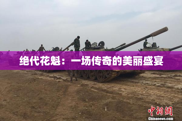绝代花魁：一场传奇的美丽盛宴