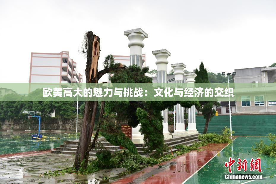 欧美高大的魅力与挑战：文化与经济的交织