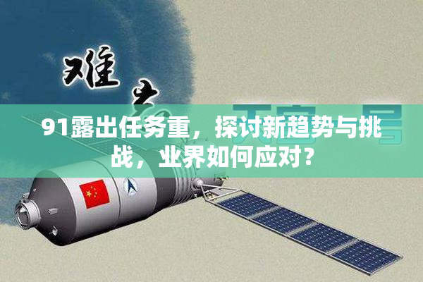 91露出任务重，探讨新趋势与挑战，业界如何应对？
