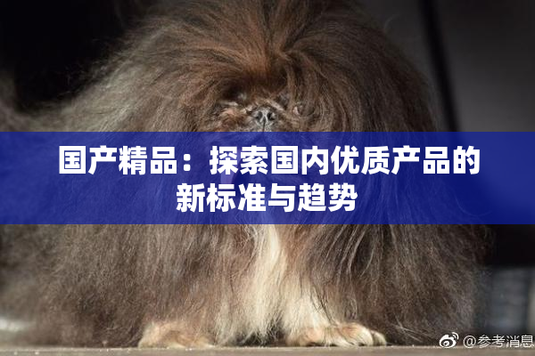 国产精品：探索国内优质产品的新标准与趋势
