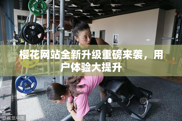 樱花网站全新升级重磅来袭，用户体验大提升