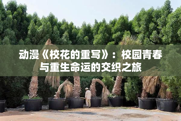 动漫《校花的重写》：校园青春与重生命运的交织之旅