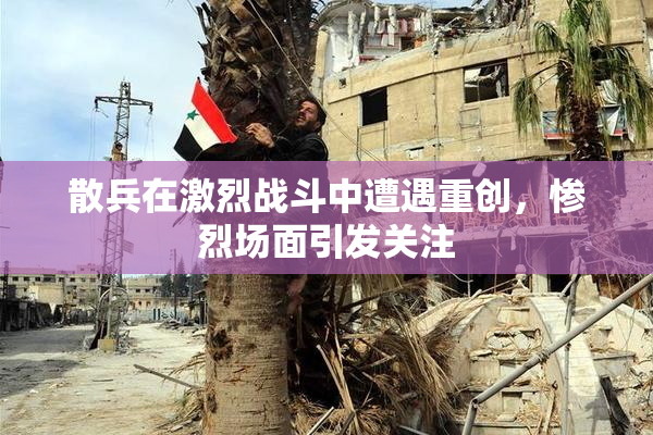 散兵在激烈战斗中遭遇重创，惨烈场面引发关注