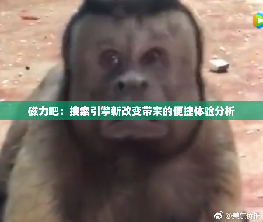 磁力吧：搜索引擎新改变带来的便捷体验分析