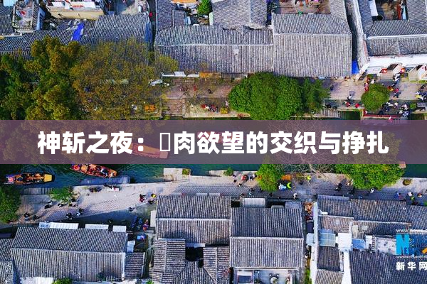 神斩之夜：婬肉欲望的交织与挣扎