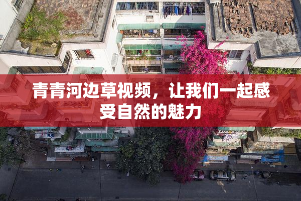 青青河边草视频，让我们一起感受自然的魅力