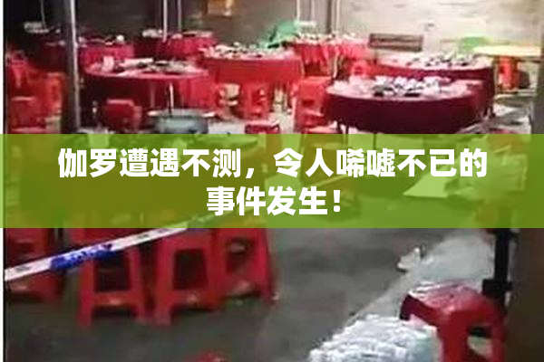 伽罗遭遇不测，令人唏嘘不已的事件发生！