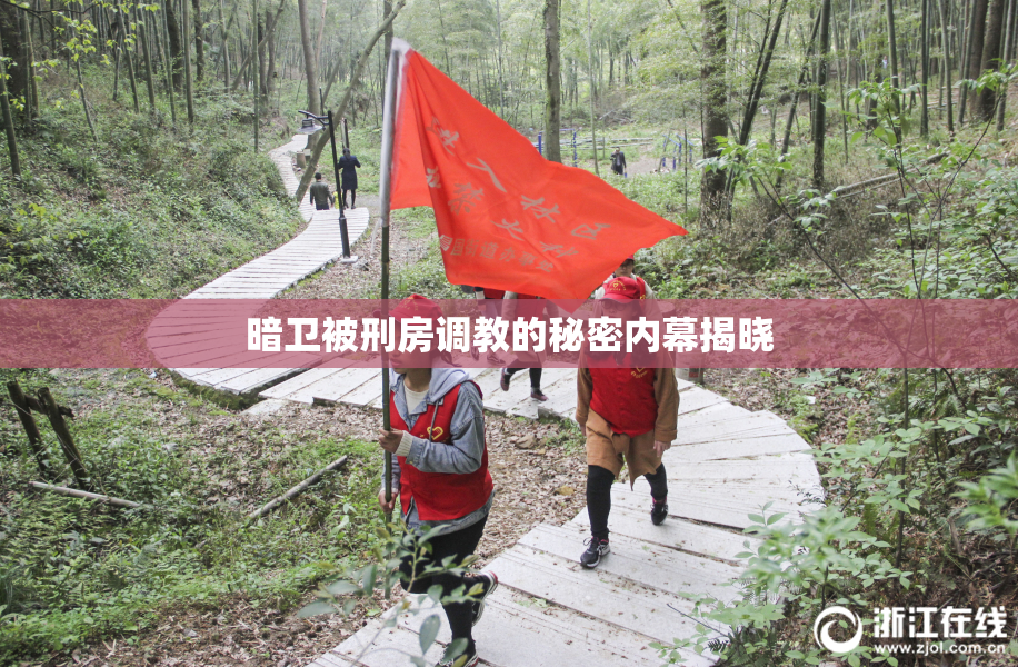 暗卫被刑房调教的秘密内幕揭晓